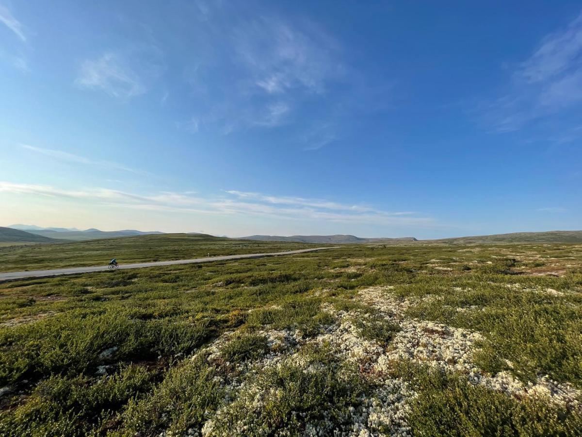 Masaplassen Friisvegen Mountain Lodge Ringebu Bagian luar foto