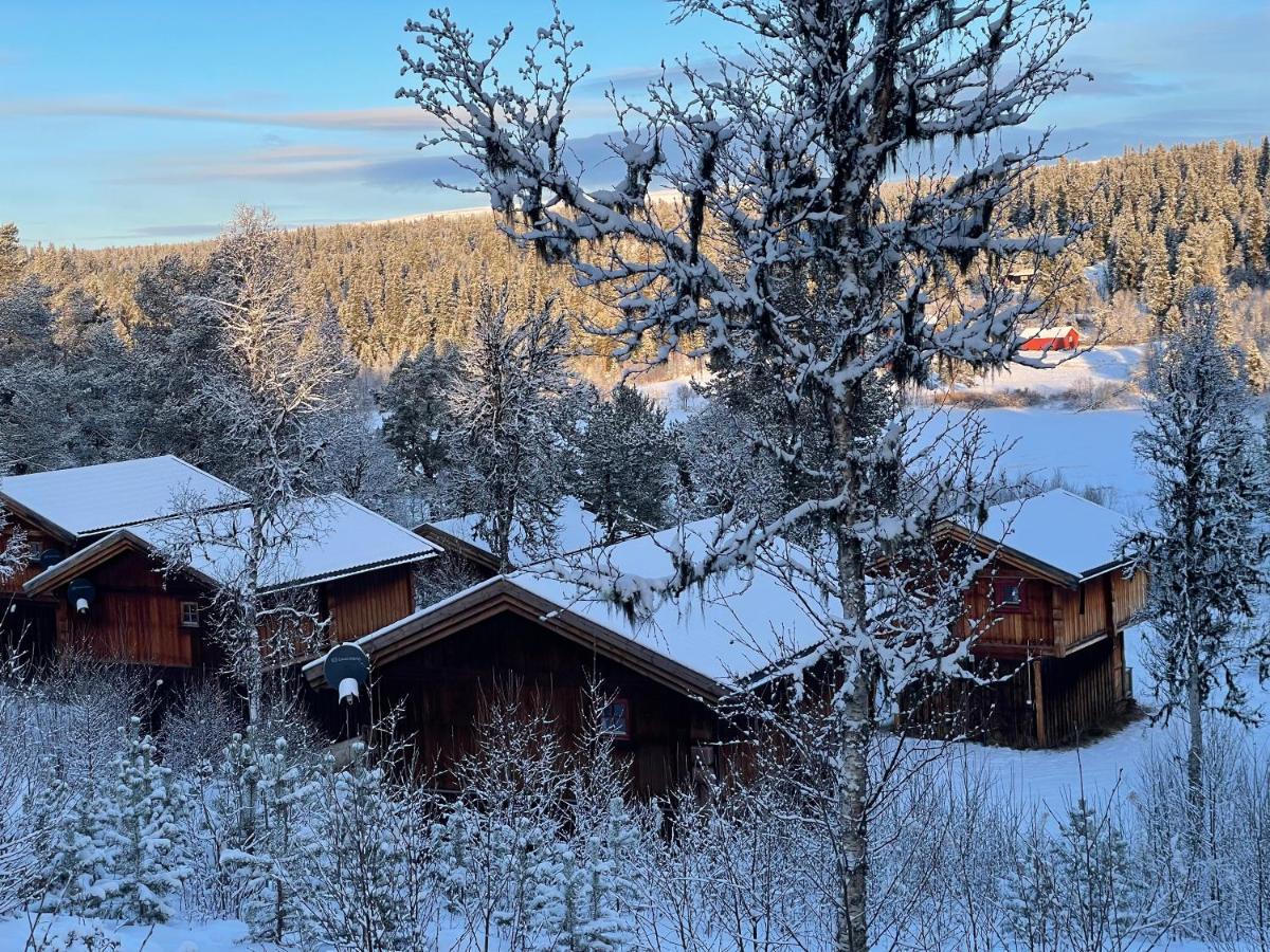Masaplassen Friisvegen Mountain Lodge Ringebu Bagian luar foto