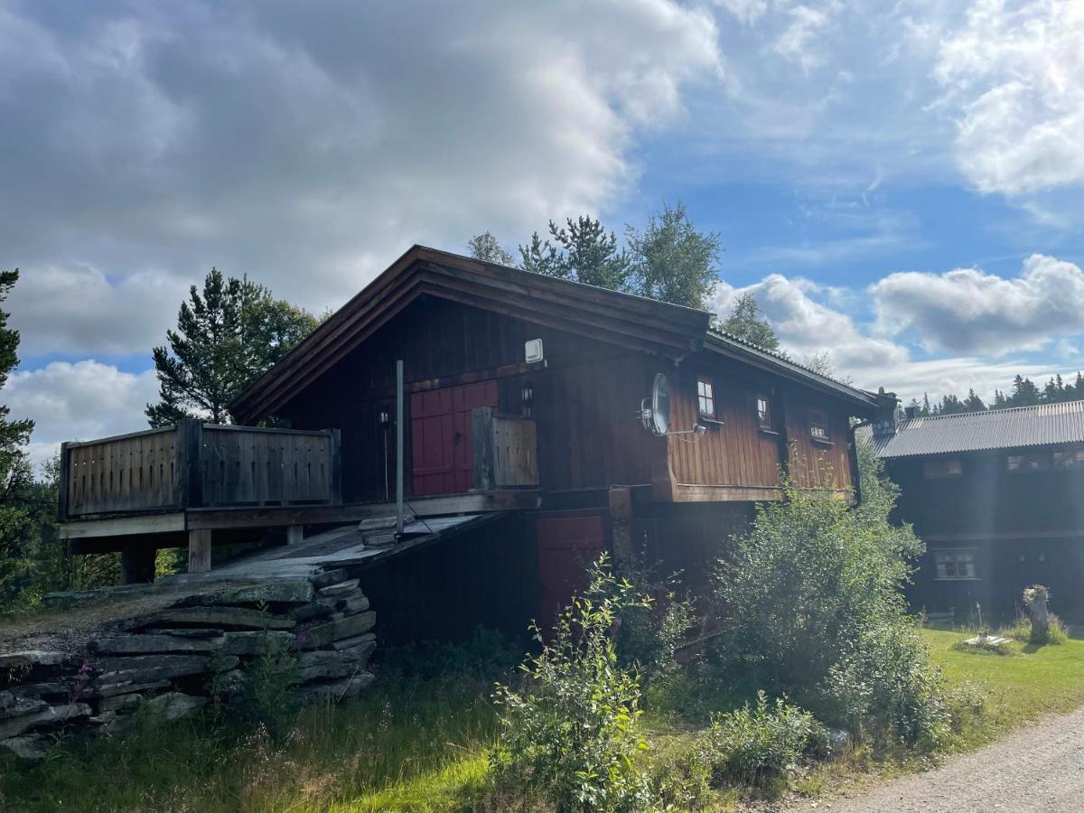 Masaplassen Friisvegen Mountain Lodge Ringebu Bagian luar foto