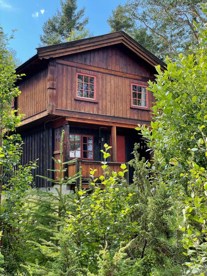 Masaplassen Friisvegen Mountain Lodge Ringebu Bagian luar foto