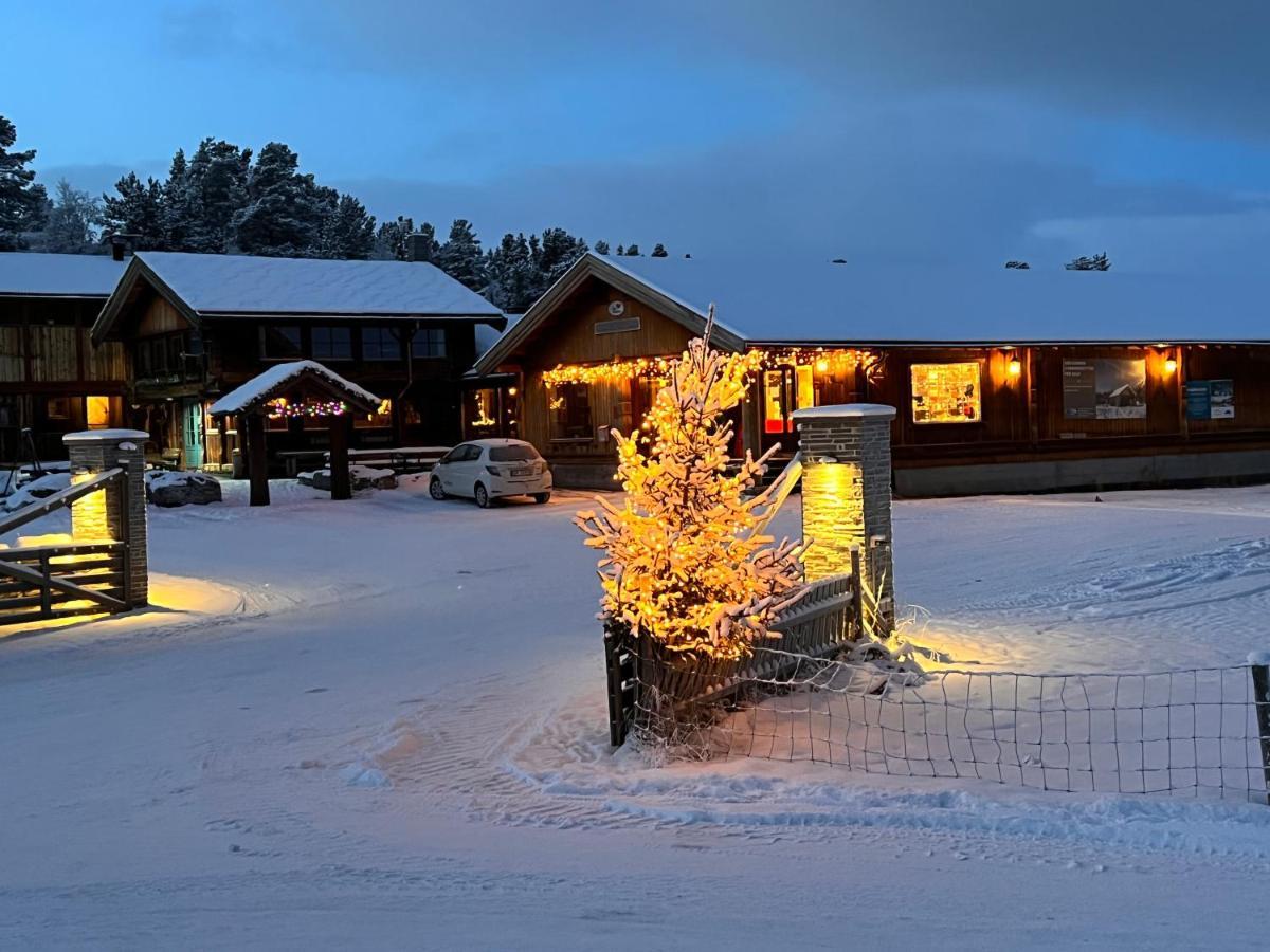 Masaplassen Friisvegen Mountain Lodge Ringebu Bagian luar foto