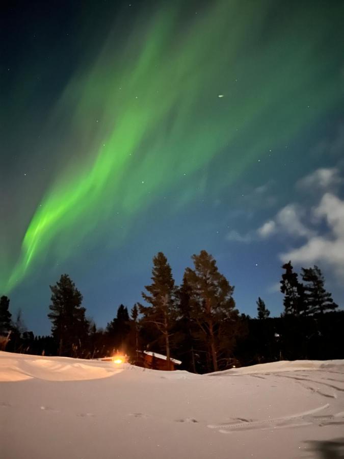Masaplassen Friisvegen Mountain Lodge Ringebu Bagian luar foto