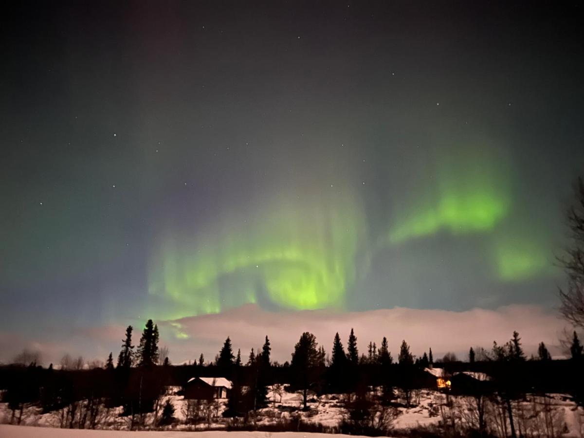 Masaplassen Friisvegen Mountain Lodge Ringebu Bagian luar foto
