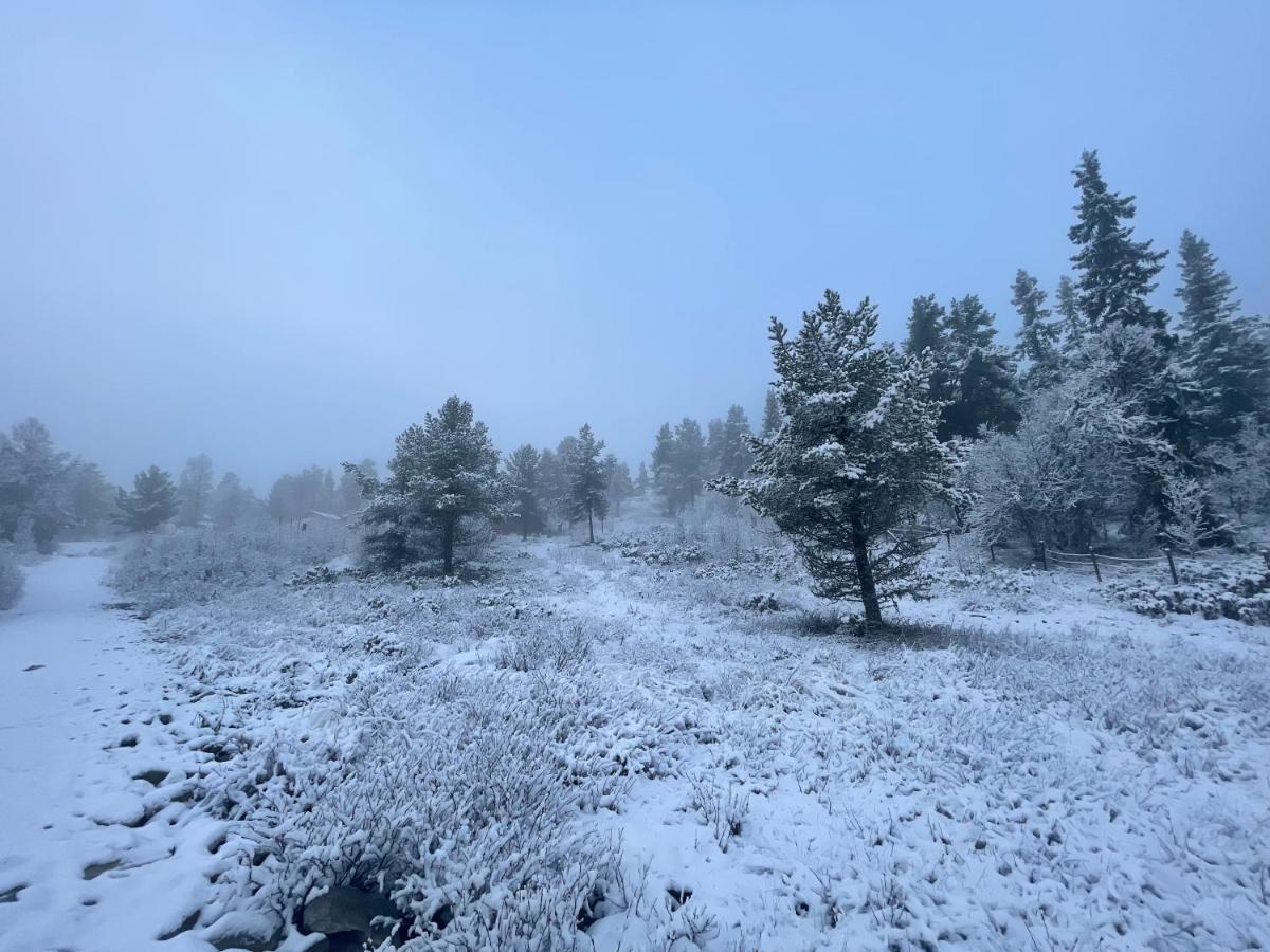 Masaplassen Friisvegen Mountain Lodge Ringebu Bagian luar foto