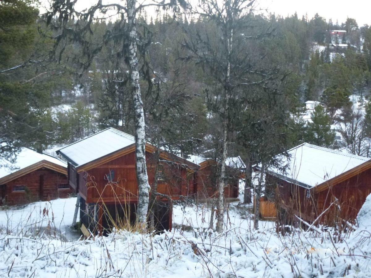 Masaplassen Friisvegen Mountain Lodge Ringebu Bagian luar foto