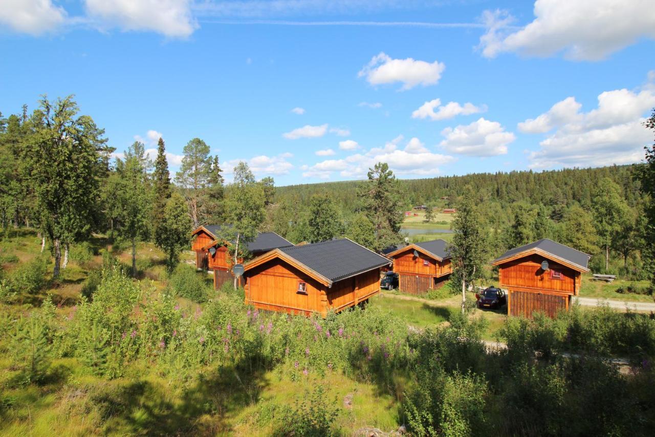 Masaplassen Friisvegen Mountain Lodge Ringebu Bagian luar foto