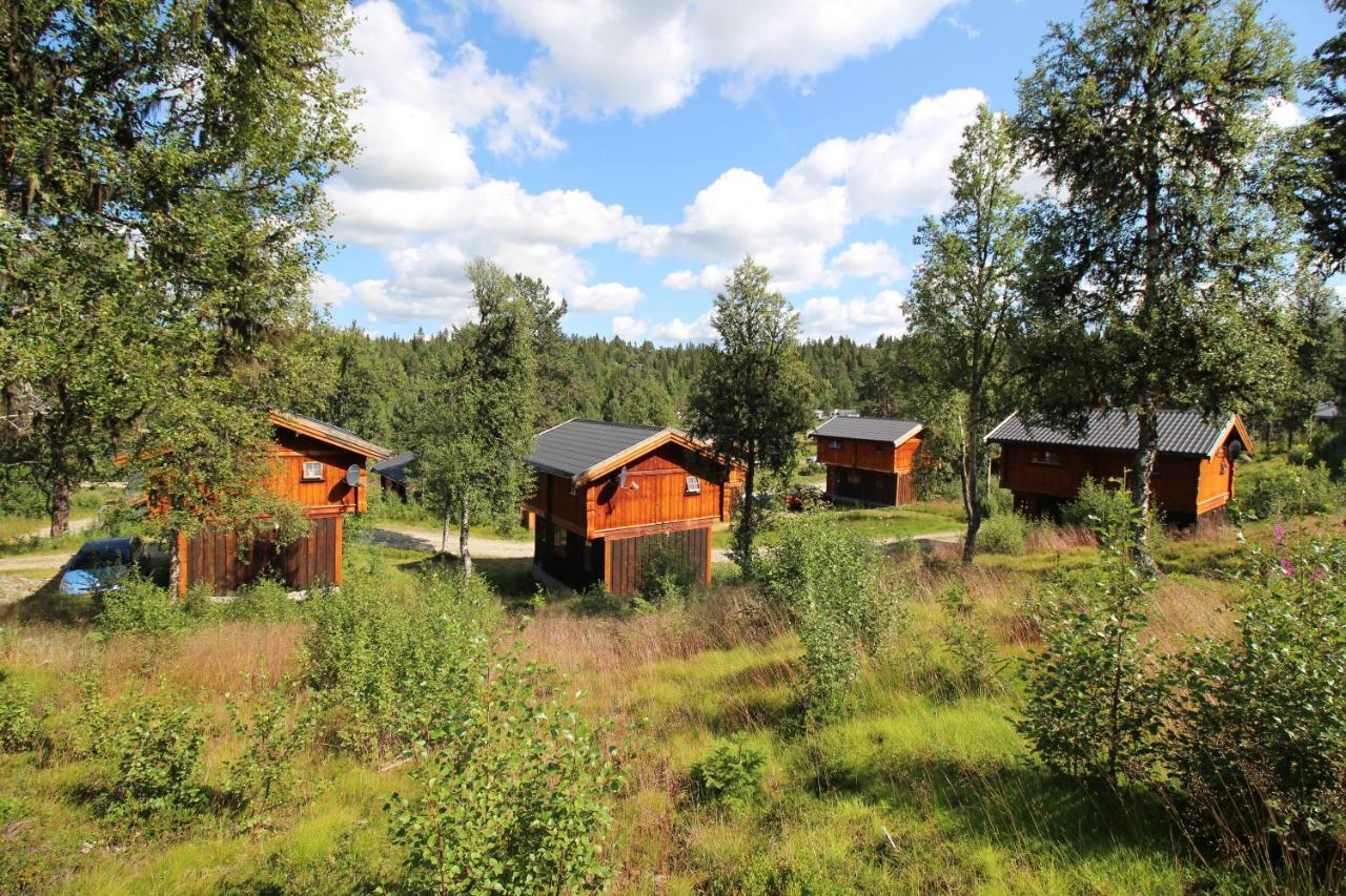 Masaplassen Friisvegen Mountain Lodge Ringebu Bagian luar foto