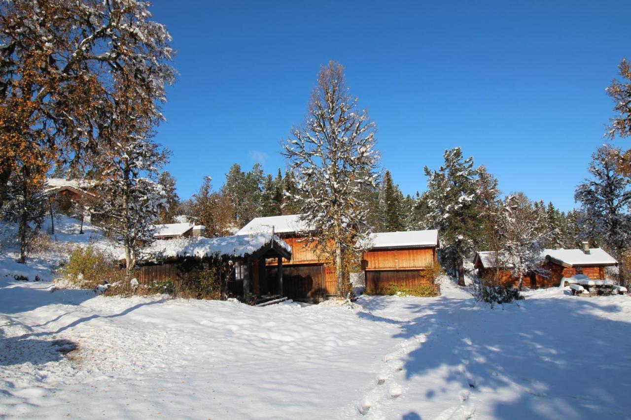 Masaplassen Friisvegen Mountain Lodge Ringebu Bagian luar foto