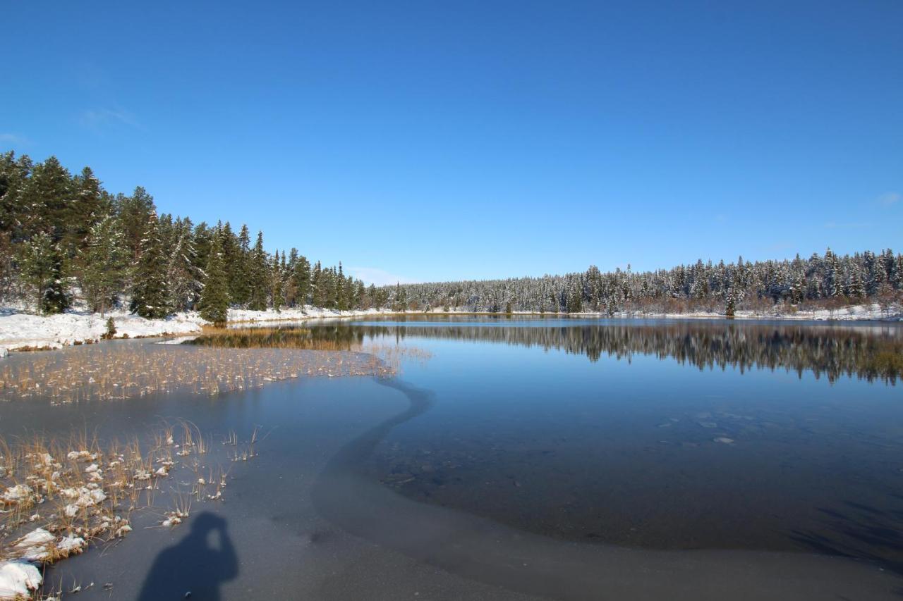 Masaplassen Friisvegen Mountain Lodge Ringebu Bagian luar foto