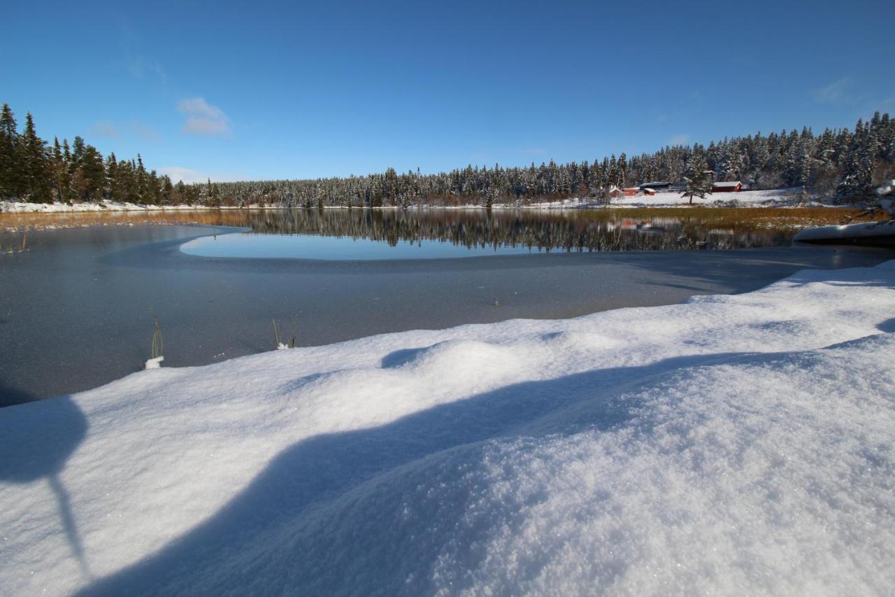 Masaplassen Friisvegen Mountain Lodge Ringebu Bagian luar foto