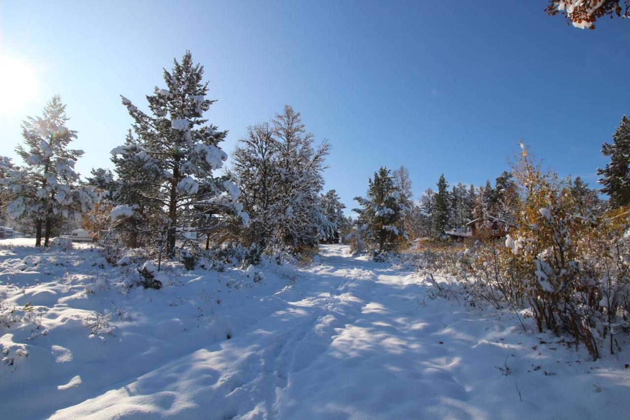 Masaplassen Friisvegen Mountain Lodge Ringebu Bagian luar foto