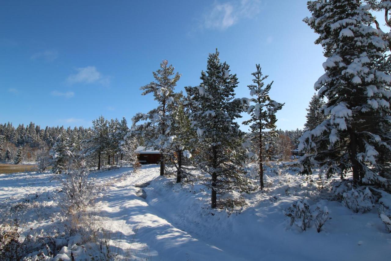 Masaplassen Friisvegen Mountain Lodge Ringebu Bagian luar foto