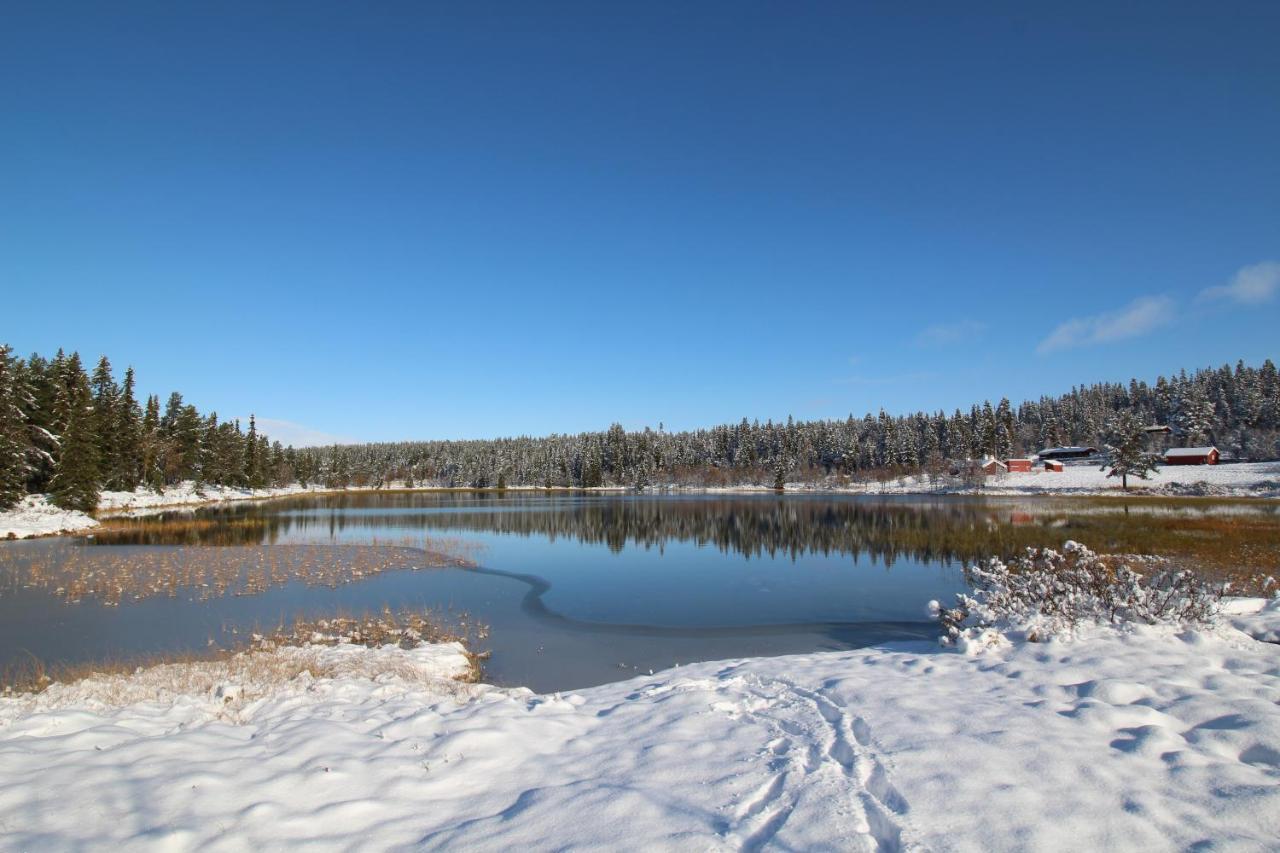 Masaplassen Friisvegen Mountain Lodge Ringebu Bagian luar foto